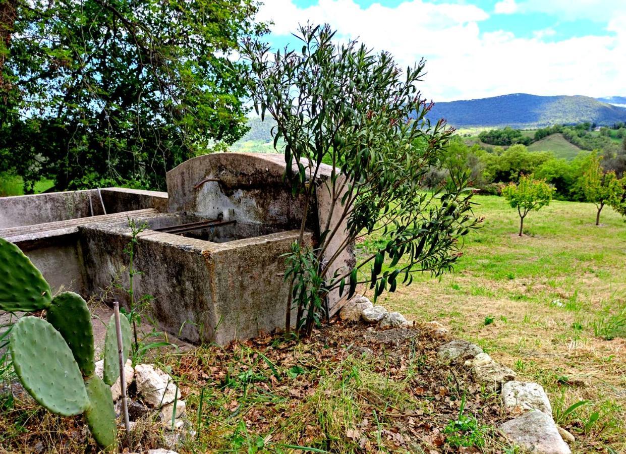 Ai Limiti • 67 • Stonehouse Guest House Palombaro Ngoại thất bức ảnh